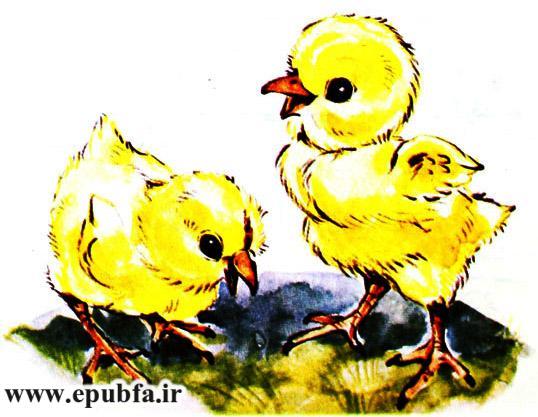 قصه کودکانه حنایی و جوجههایش-کتاب قصه کودکانه-ایپابفا قصه و داستان3